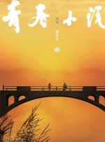 另外，虽然影片穿插了一些新闻片，来表示年代更迭，但它其实并没有做出不同年代的差异，每个年代的质感也不强。