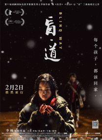 本片由魏君子担任总制片人，杨秉佳编剧并执导，秦鹏飞、杜晓辉任动作导演，谢苗、杨恩又领衔主演。
